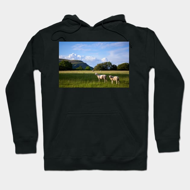 Evening sun, South Wales Hoodie by RJDowns